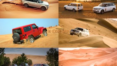 desert safari dubai