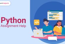 Python Assignment Help