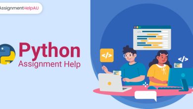 Python Assignment Help