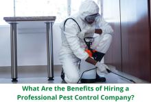 Professional Pest Control Company