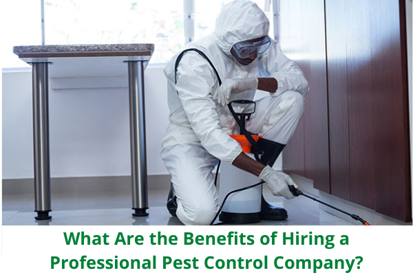 Professional Pest Control Company