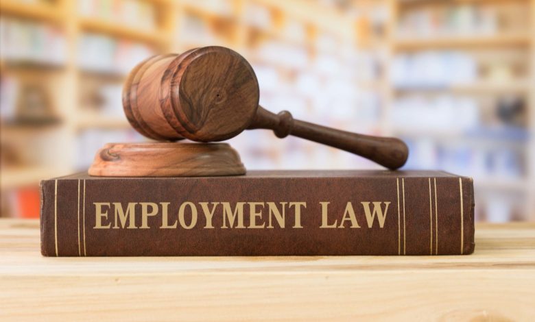 employment lawyer toronto