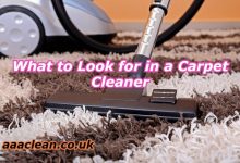 Carpet Cleaning