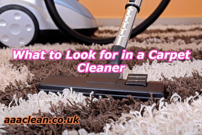 Carpet Cleaning