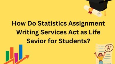 Statistics Assignment Writing Services