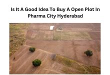 Buying open plots