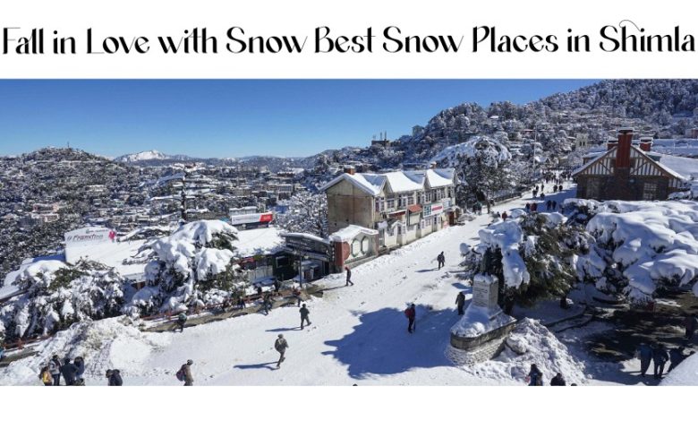 Best Cottages in Shimla