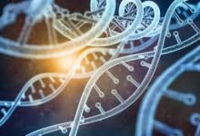 Global Artificial Intelligence In Genomics Market