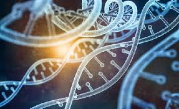 Global Artificial Intelligence In Genomics Market