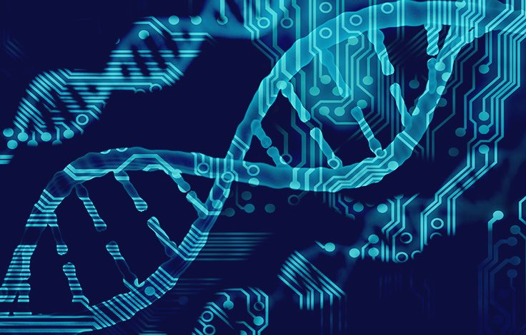 Global Whole Genome Synthesis Market