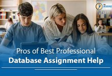 database assignment help