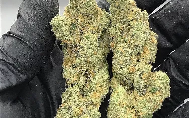 Afghan Kush