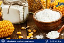 Corn Starch Market