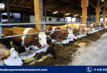 Probiotics in Animal Feed Market