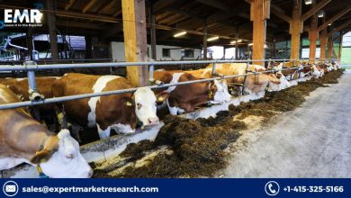 Probiotics in Animal Feed Market