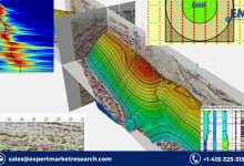 Seismic Services Market