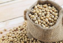 Soybeans can improve the health of men