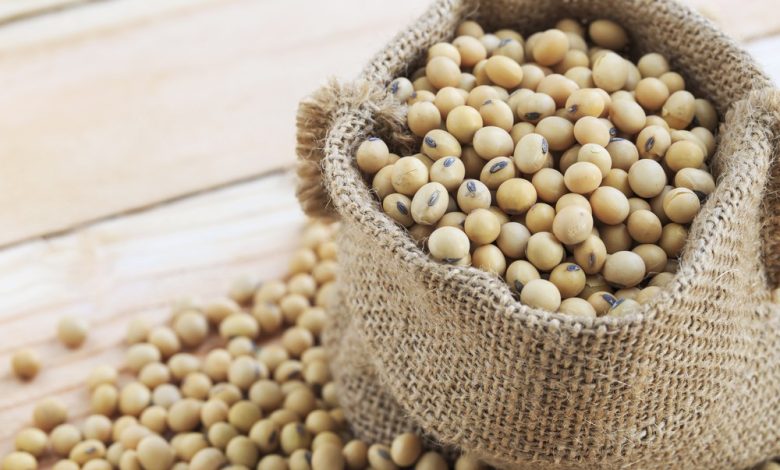 Soybeans can improve the health of men