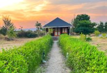 resort in jawai