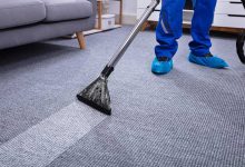 Carpet Cleaning