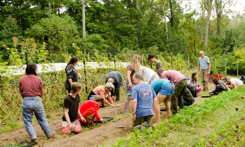 Biodynamic Gardening