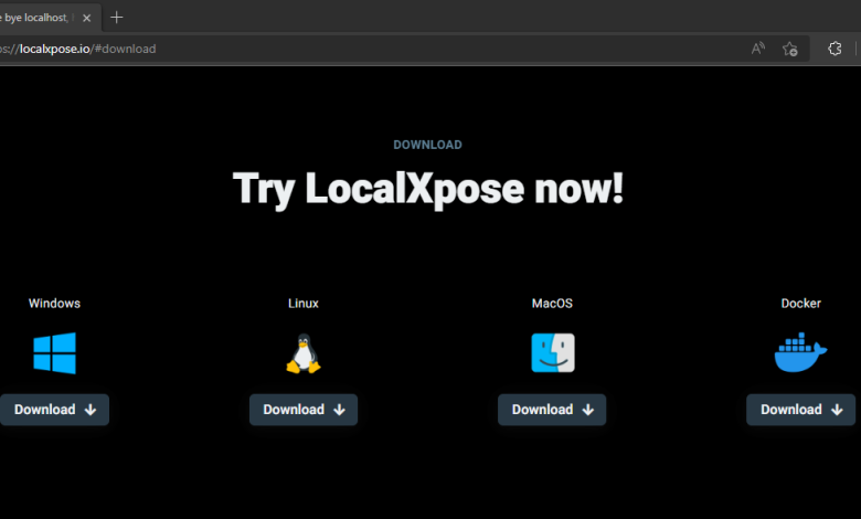 LocalXpose