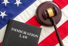 Immigration Lawyer