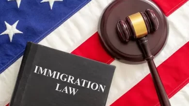 Immigration Lawyer